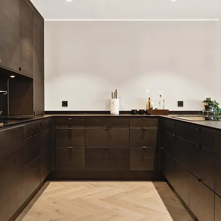 Apartment Dinbnb L 250m To Bryggen I Rooftop I Spacious Luxury